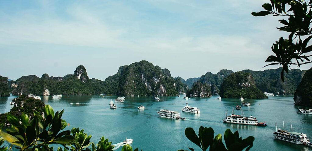 A wide, elevated panoramic view of Ha Long Bay, framed by lush green leaves in the foreground. Multiple white tour boats and cruise ships glide across the calm, vibrant emerald water, weaving between a sprawling landscape of steep, tree-covered limestone karst islands under a bright blue sky.