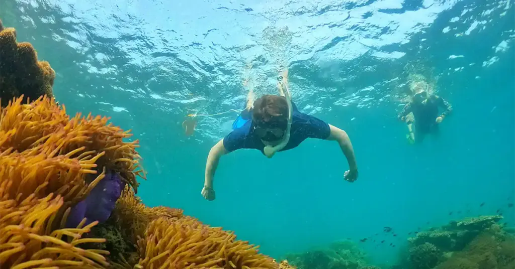 Snorkeler swimming over a coral reef in Phu Quoc's clear water