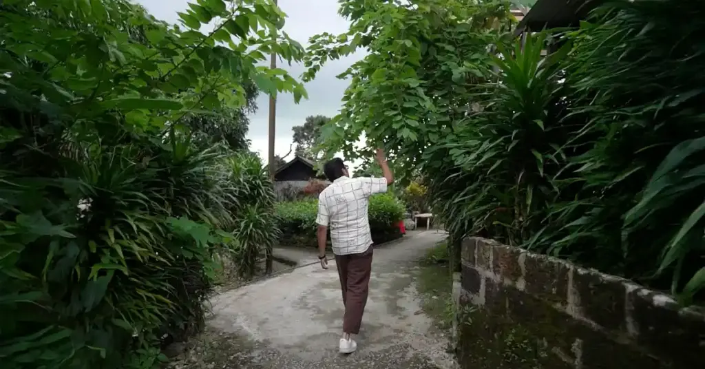 Tourist walking along a clean, plant-lined stone pathway in Mawlynnong village, Meghalaya