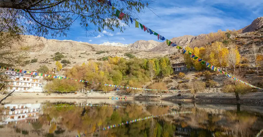Nako Lake at 3,625 m in autumn, prayer flags and yellow poplars reflected in still water, Kinnaur