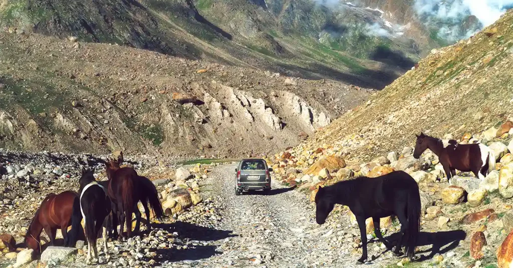 Unpaved Manali-side road near Batal in Spiti with horses grazing and an SUV crossing loose rock and boulders