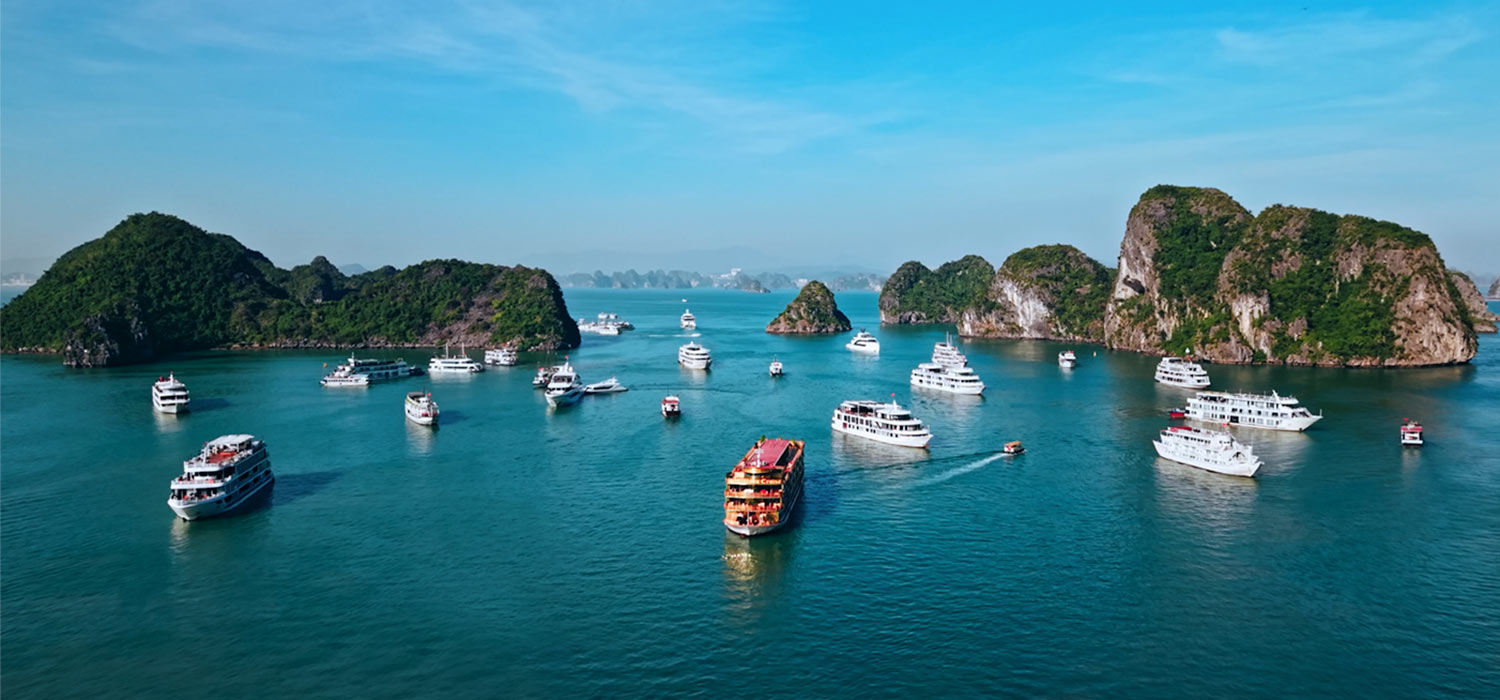 The Travel Story Blogs